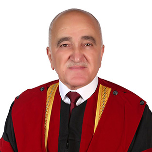 Rami Al-Hadeethi